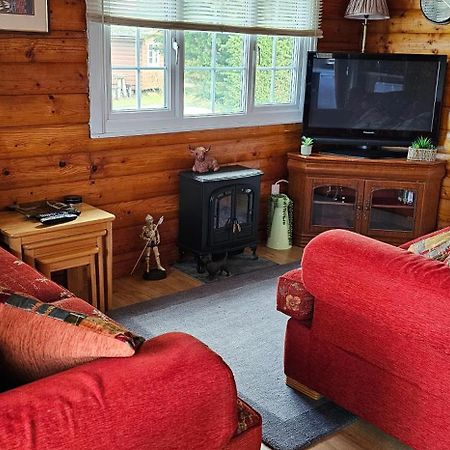 Snowdonia National Park Log Cabin With Garden Trawsfynydd Extérieur photo