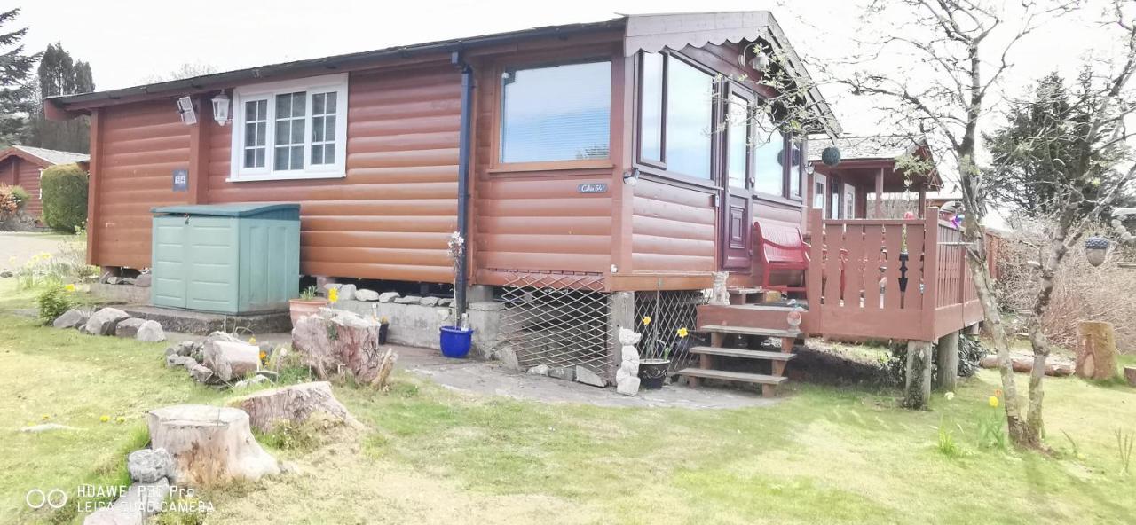 Snowdonia National Park Log Cabin With Garden Trawsfynydd Extérieur photo