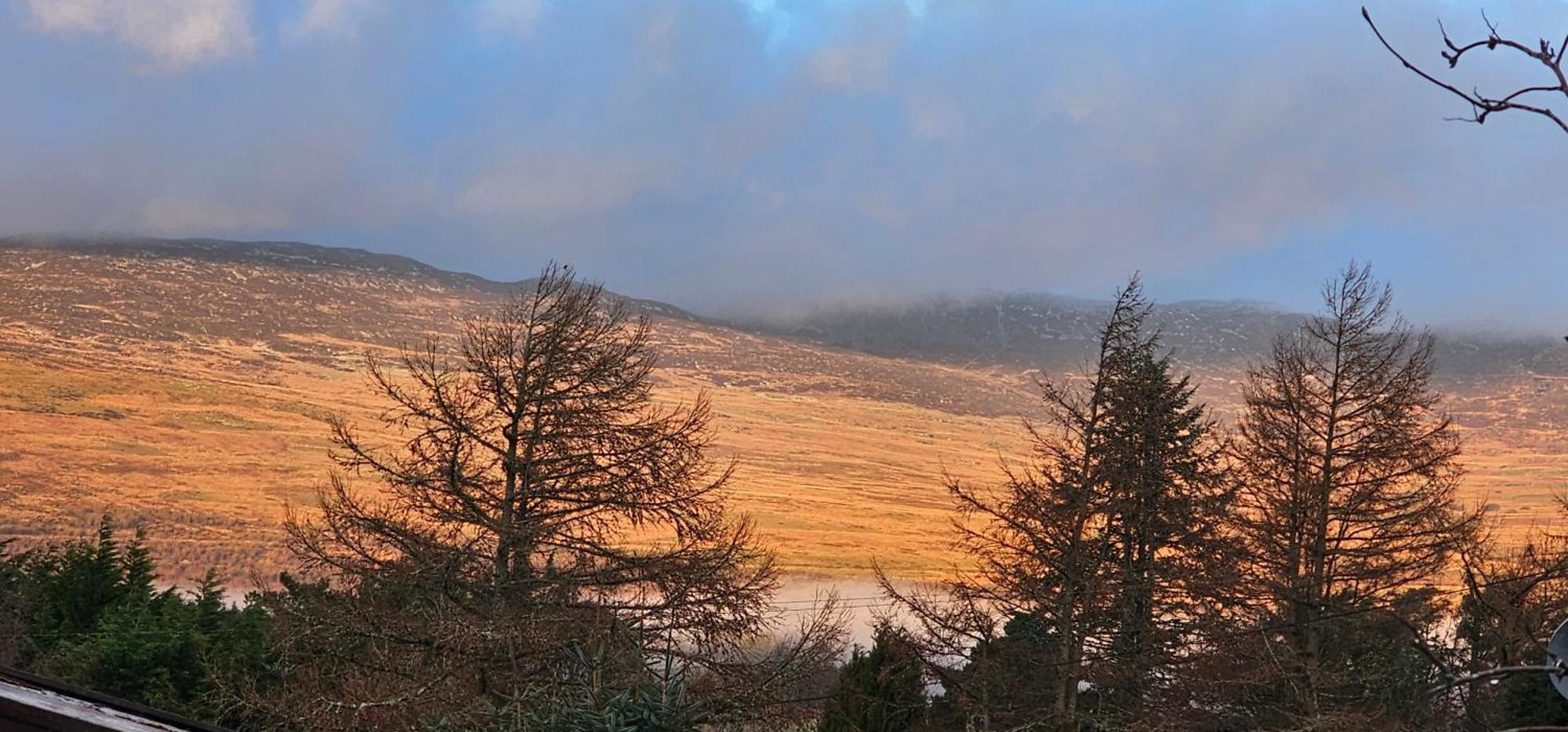 Snowdonia National Park Log Cabin With Garden Trawsfynydd Extérieur photo